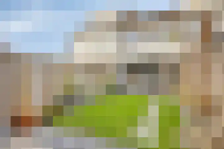 Kamillelaan 4 Scherpenzeel thumbnail 28