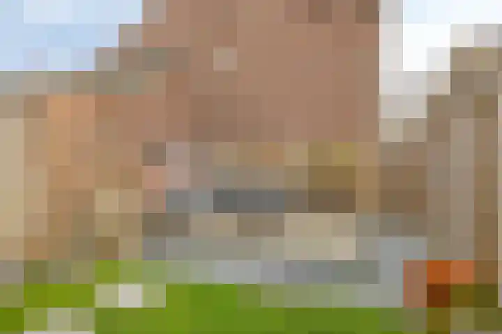 Kamillelaan 4 Scherpenzeel thumbnail 29