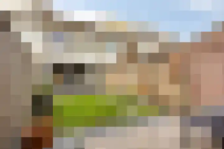 Kamillelaan 4 Scherpenzeel foto 3