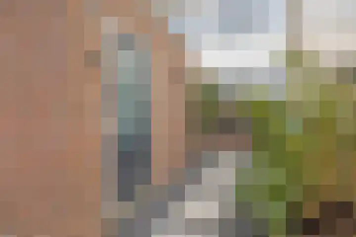 Kamillelaan 4 Scherpenzeel thumbnail 32