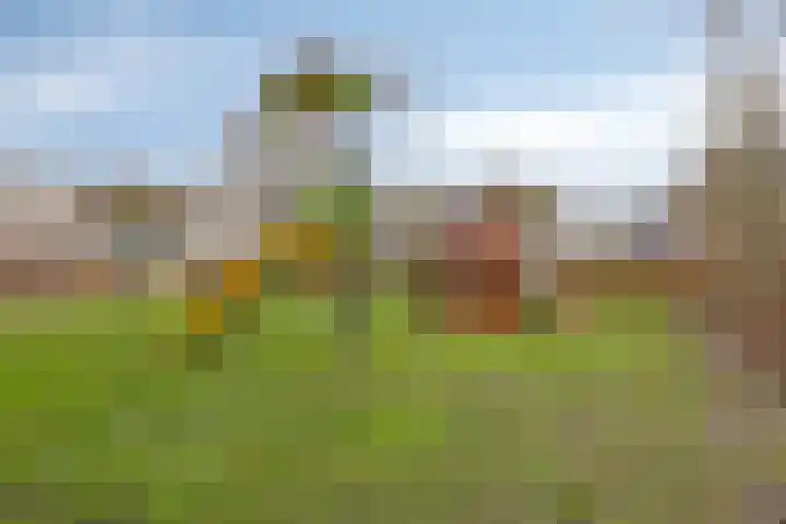 Kamillelaan 4 Scherpenzeel thumbnail 34