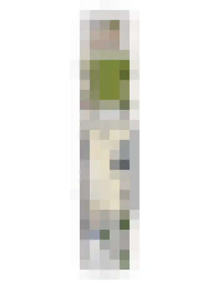 Kamillelaan 4 Scherpenzeel thumbnail 38