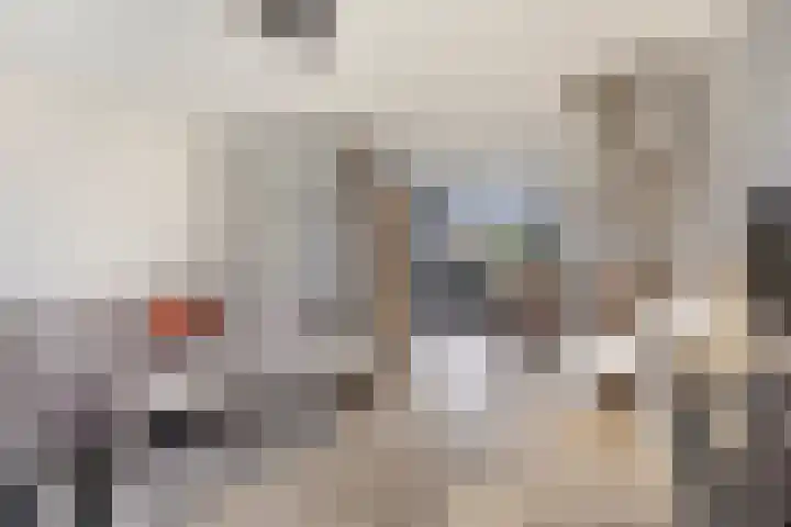 Kamillelaan 4 Scherpenzeel thumbnail 4
