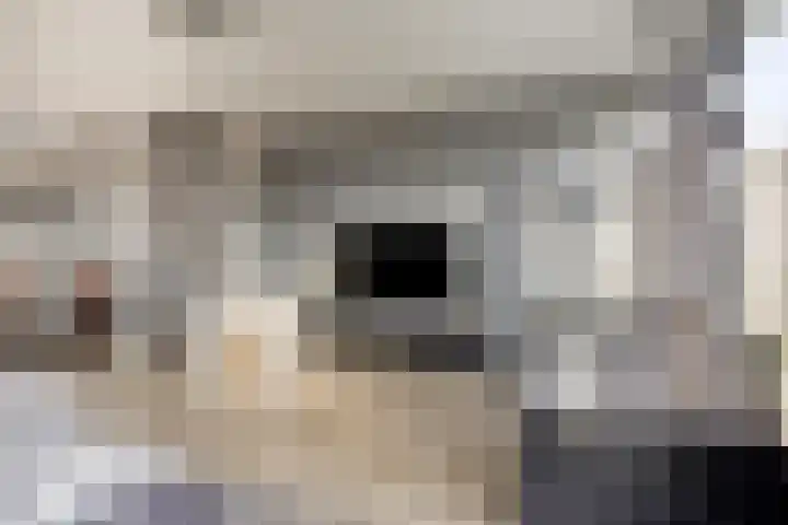 Kamillelaan 4 Scherpenzeel thumbnail 5