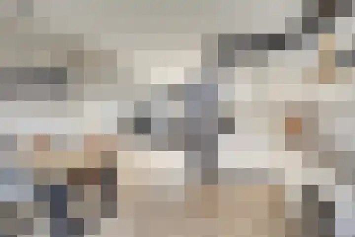 Kamillelaan 4 Scherpenzeel thumbnail 9