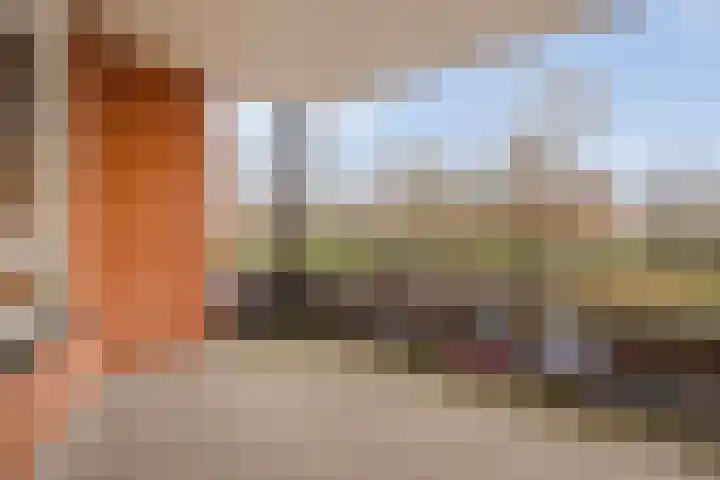 Kamillelaan 45 Wierden thumbnail 19