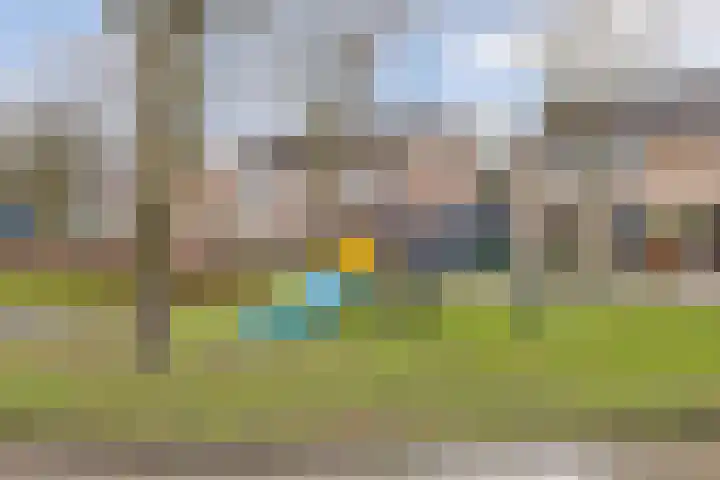 Kamillelaan 45 Wierden thumbnail 29