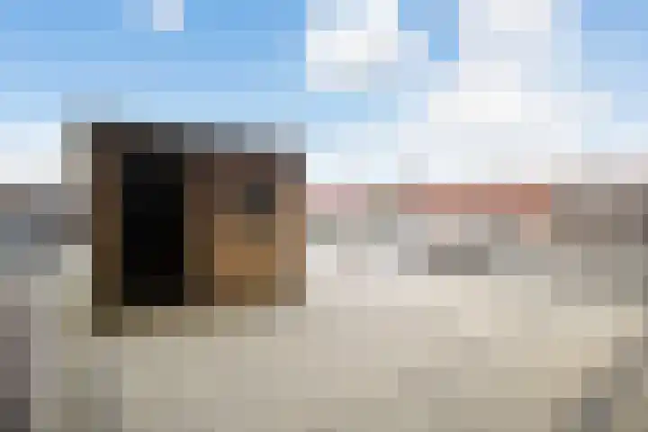Kamillelaan 6 A Arnhem thumbnail 21