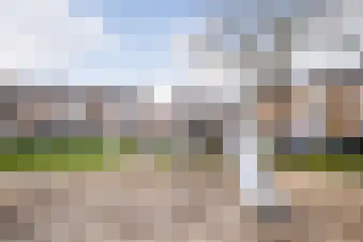 Kamillelaan 6 A Arnhem thumbnail 25