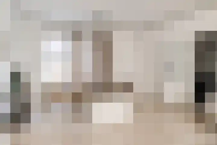 Kamillelaan 6 A Arnhem thumbnail 7