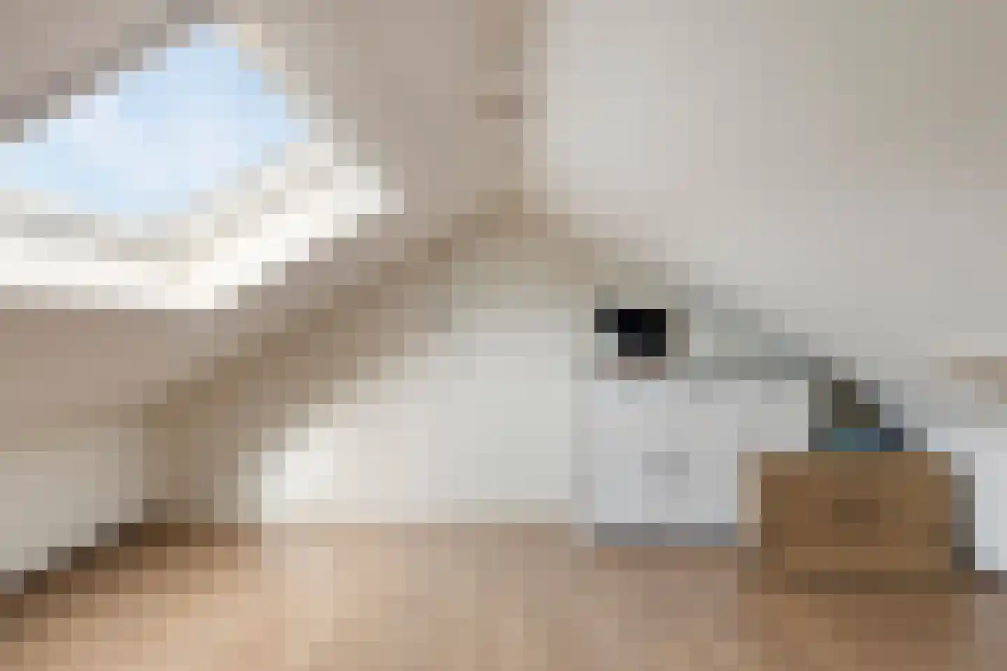 Kamillelaan 7 Burgh-Haamstede thumbnail 31