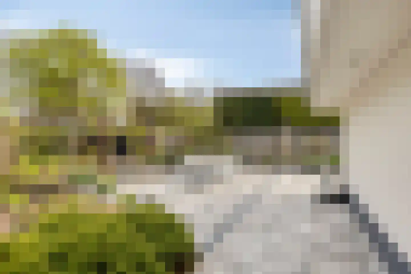 Kamillelaan 7 Burgh-Haamstede thumbnail 34