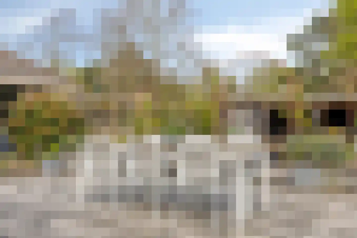 Kamillelaan 7 Burgh-Haamstede thumbnail 43