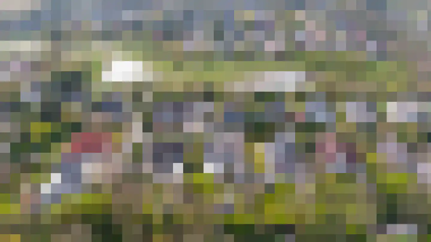 Kamillelaan 7 Burgh-Haamstede thumbnail 47