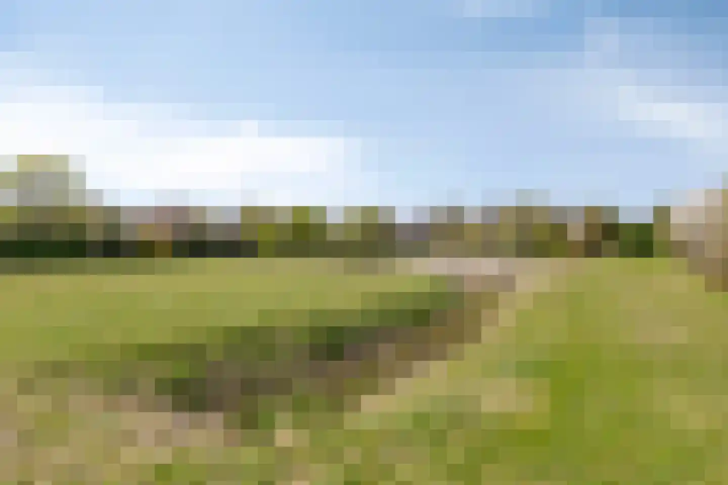Kamillelaan 7 Burgh-Haamstede thumbnail 48