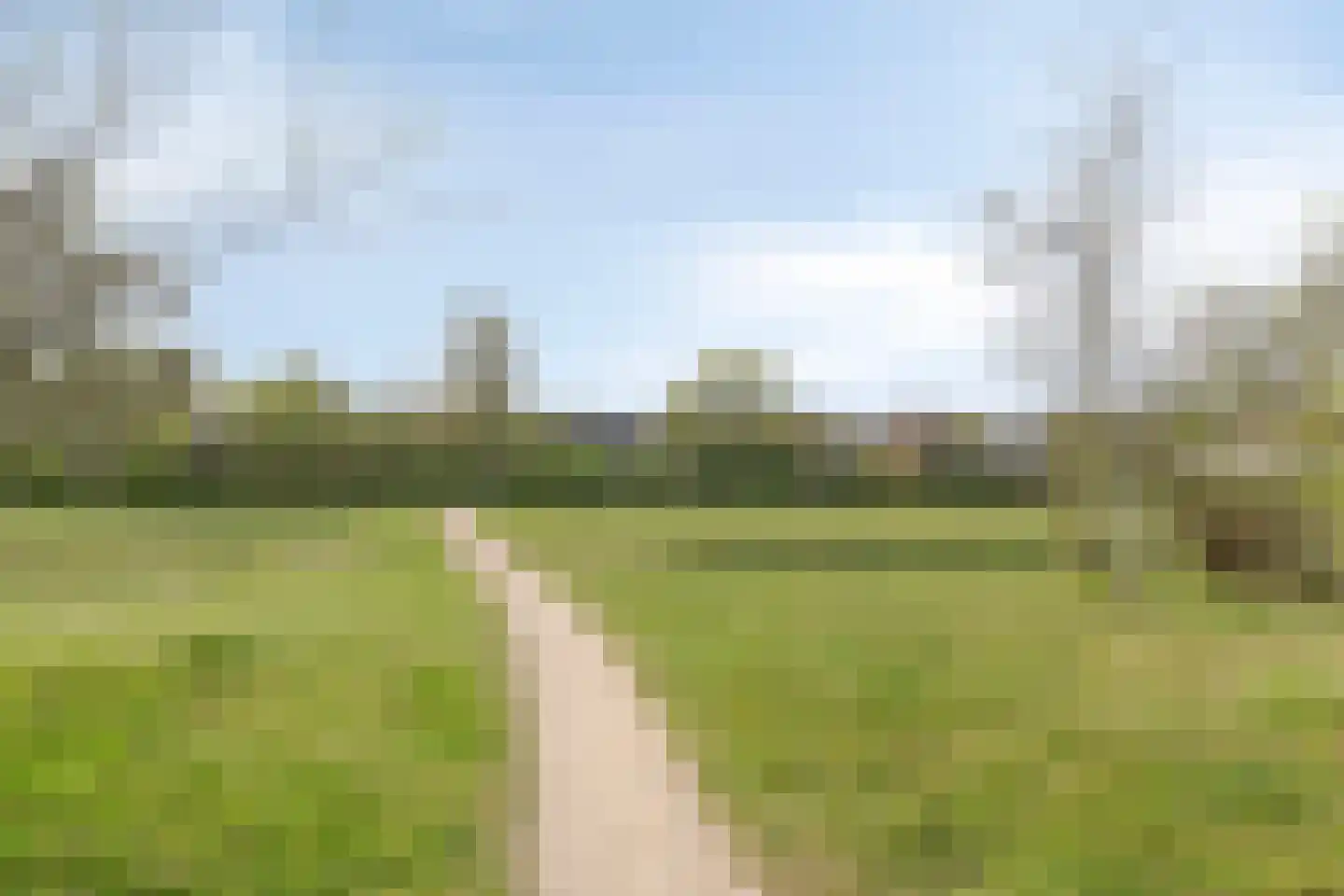 Kamillelaan 7 Burgh-Haamstede thumbnail 50