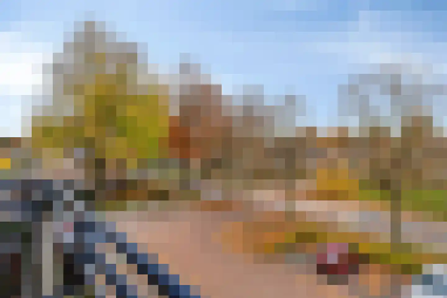 Kamillelaan 71 Wierden thumbnail 24