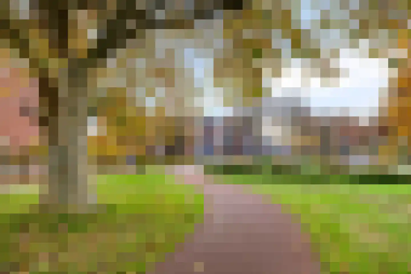 Kamillelaan 71 Wierden thumbnail 27