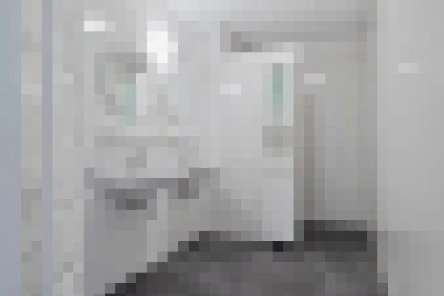 Kamillelaan 71 Wierden thumbnail 4