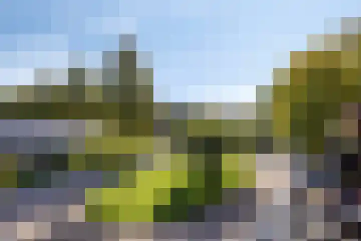 Kamillelaan 75 Wierden thumbnail 20