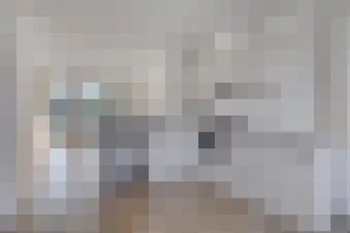 Kamillelaan 75 Wierden thumbnail 5