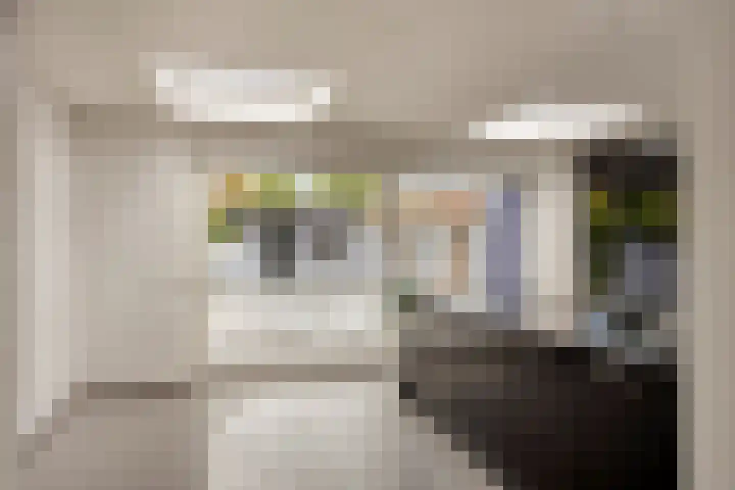 Kamillelaan 79 Arnhem thumbnail 16