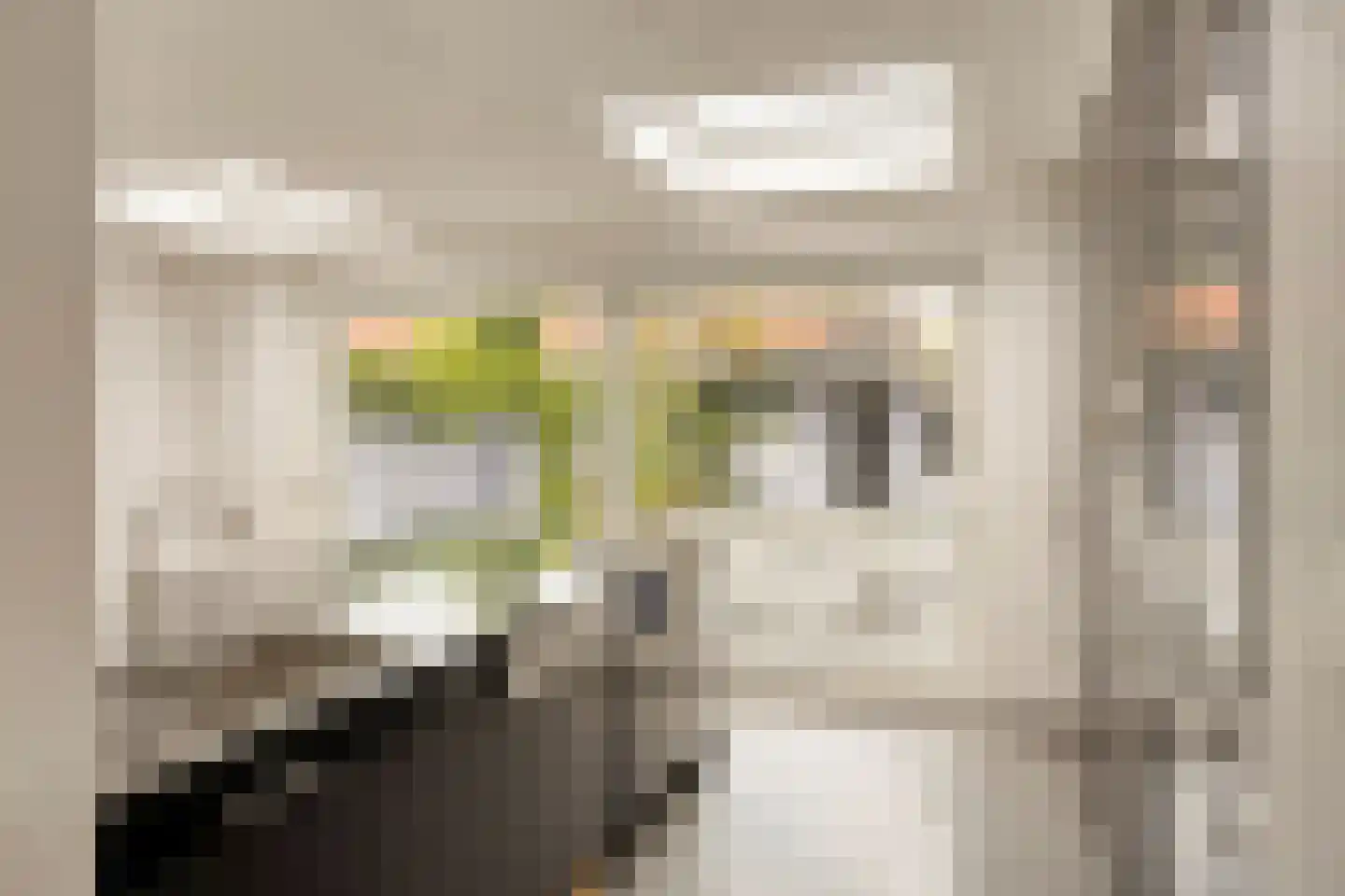 Kamillelaan 79 Arnhem thumbnail 17