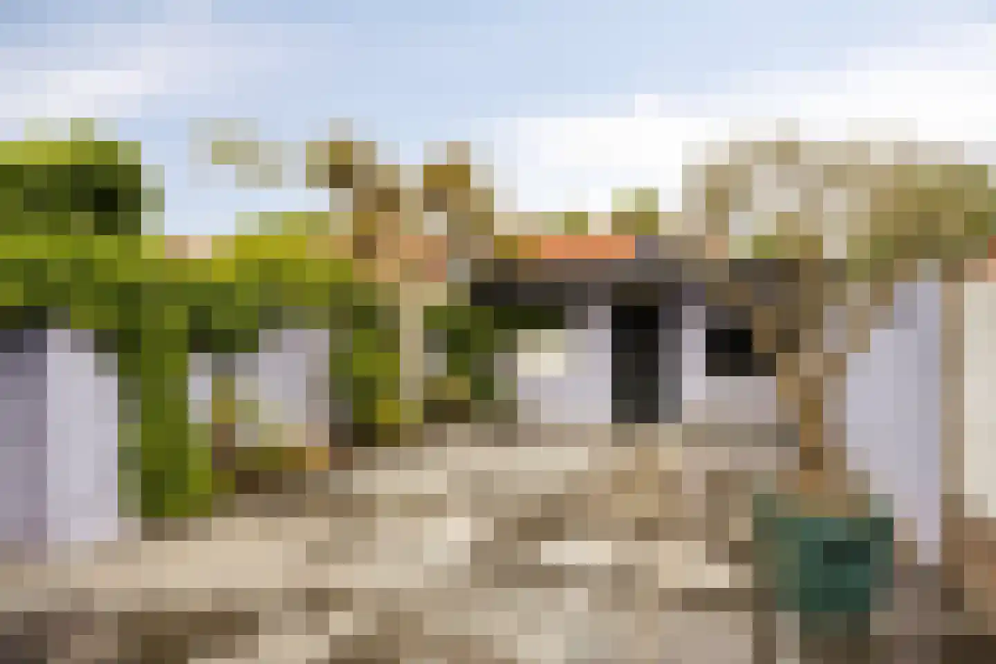 Kamillelaan 79 Arnhem thumbnail 29