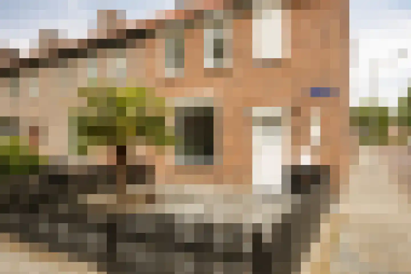 Kamillelaan 79 Arnhem thumbnail 8