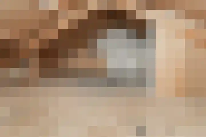 Kamillelaan 89 Scherpenzeel thumbnail 20