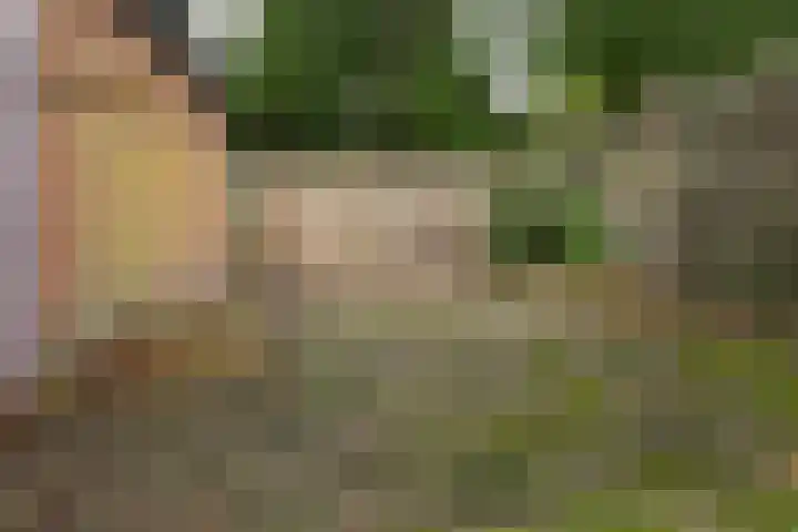 Kamillelaan 89 Scherpenzeel thumbnail 23