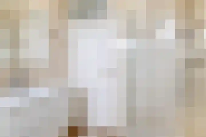 Kamillelaar 13 Veghel thumbnail 14