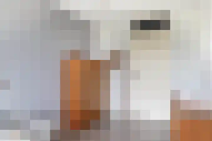 Kamillelaar 13 Veghel thumbnail 16
