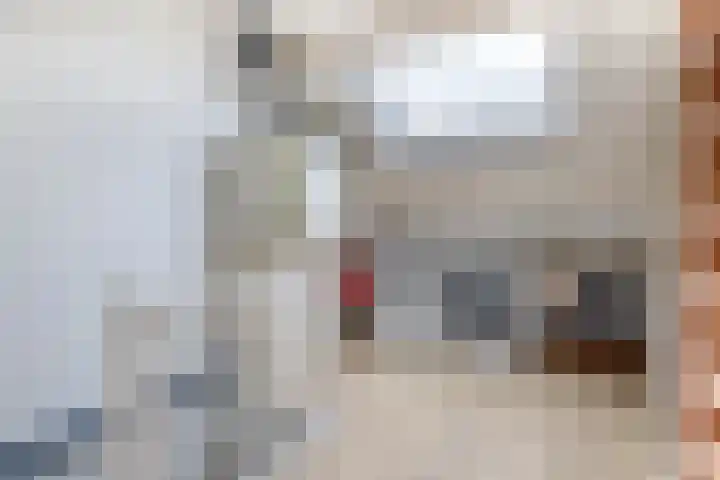 Kamillelaar 13 Veghel thumbnail 19