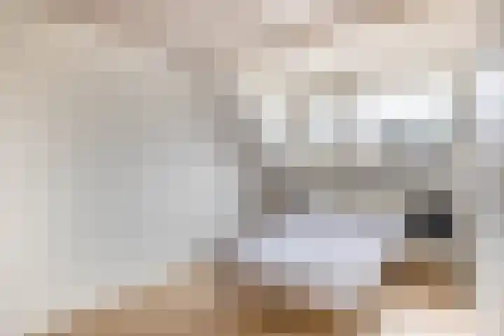 Kamillelaar 13 Veghel thumbnail 22
