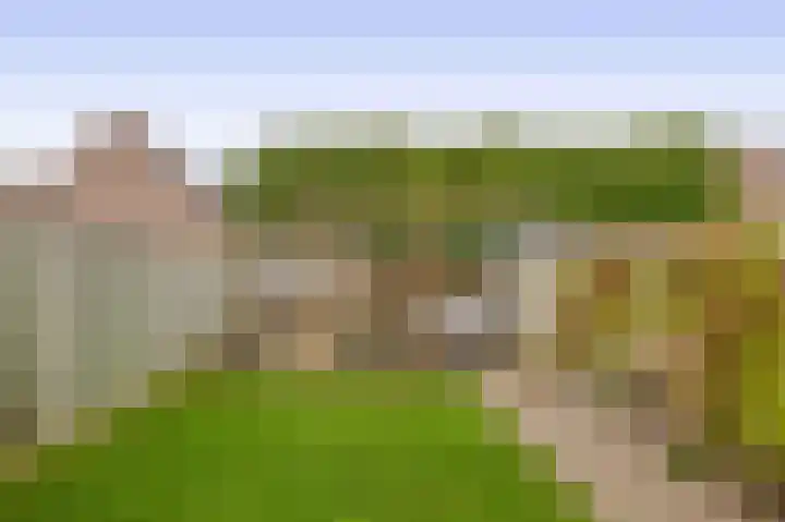 Kamillelaar 13 Veghel thumbnail 24