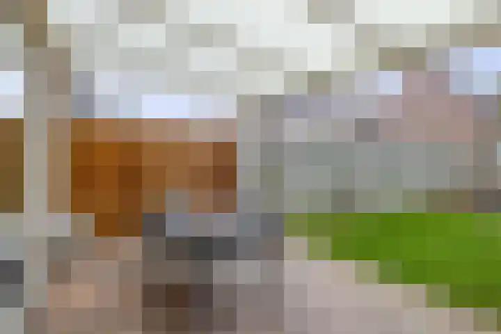 Kamillelaar 13 Veghel thumbnail 25