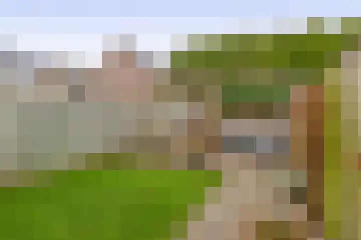 Kamillelaar 13 Veghel thumbnail 26
