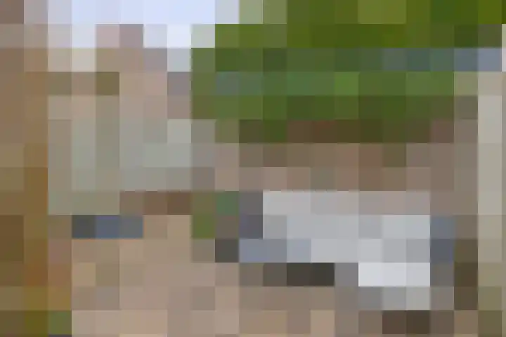 Kamillelaar 13 Veghel thumbnail 28