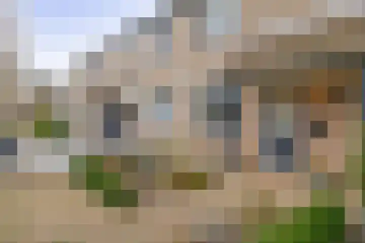 Kamillelaar 13 Veghel thumbnail 30