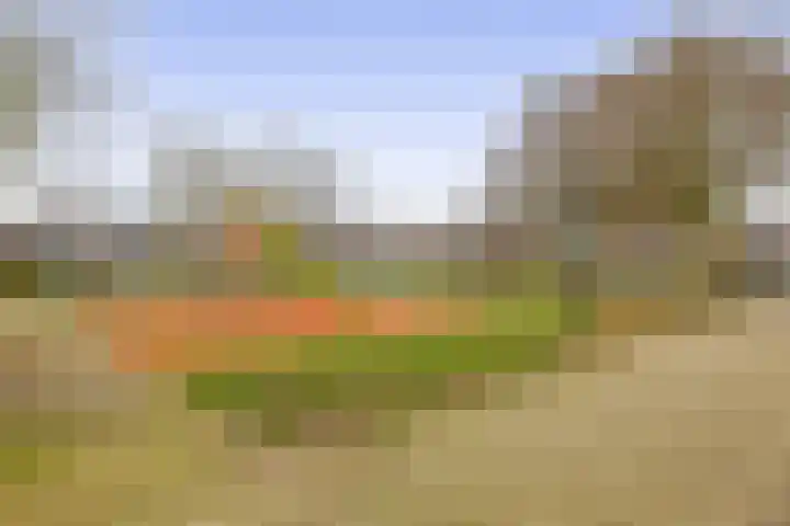 Kamillelaar 13 Veghel thumbnail 33