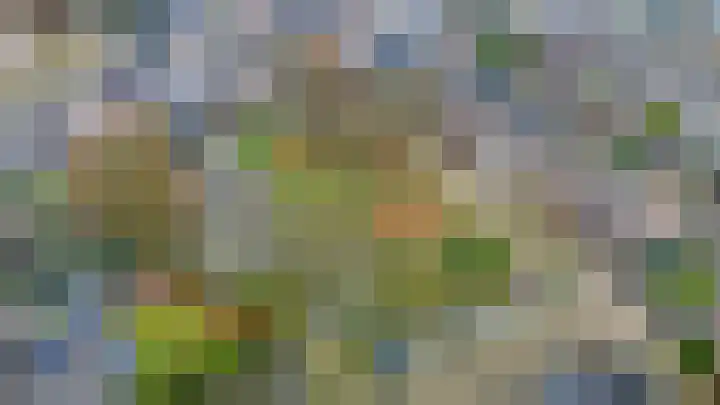 Kamillelaar 13 Veghel thumbnail 34