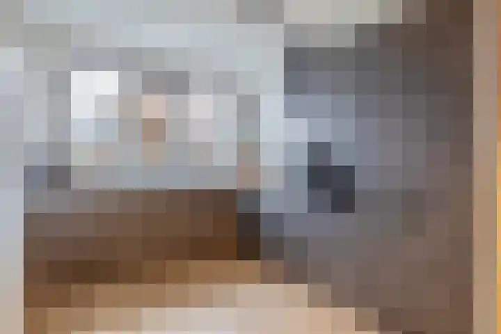 Kamillelaar 13 Veghel thumbnail 4