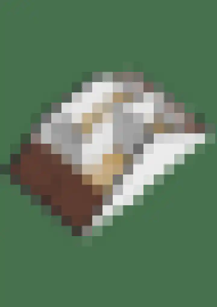 Kamillelaar 13 Veghel thumbnail 42