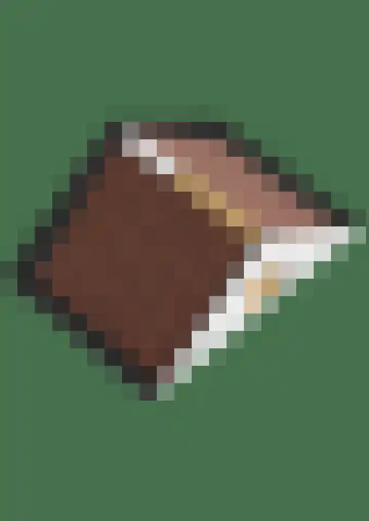 Kamillelaar 13 Veghel thumbnail 43
