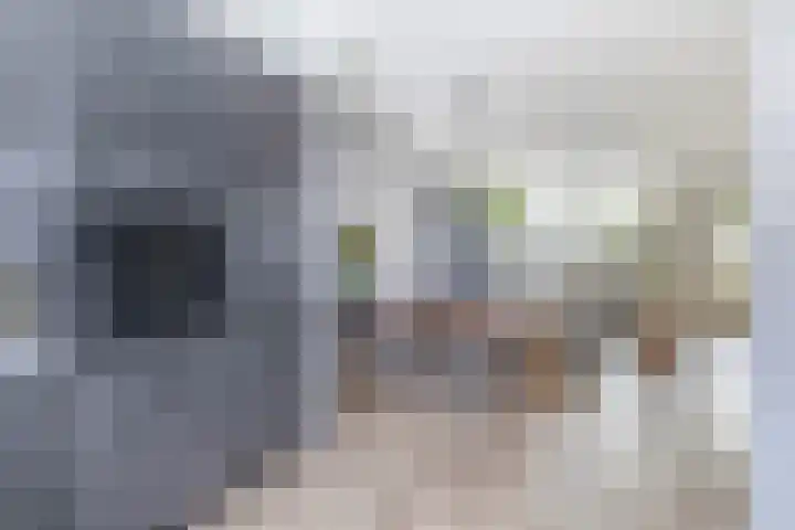 Kamillelaar 13 Veghel thumbnail 7