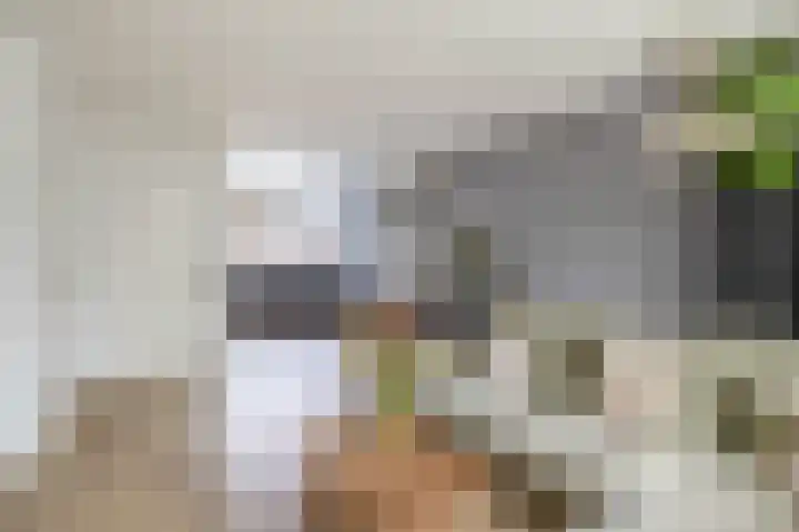 Kamillelaar 13 Veghel thumbnail 8