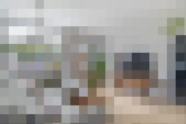 Kamillelaar 13 Veghel thumbnail 9