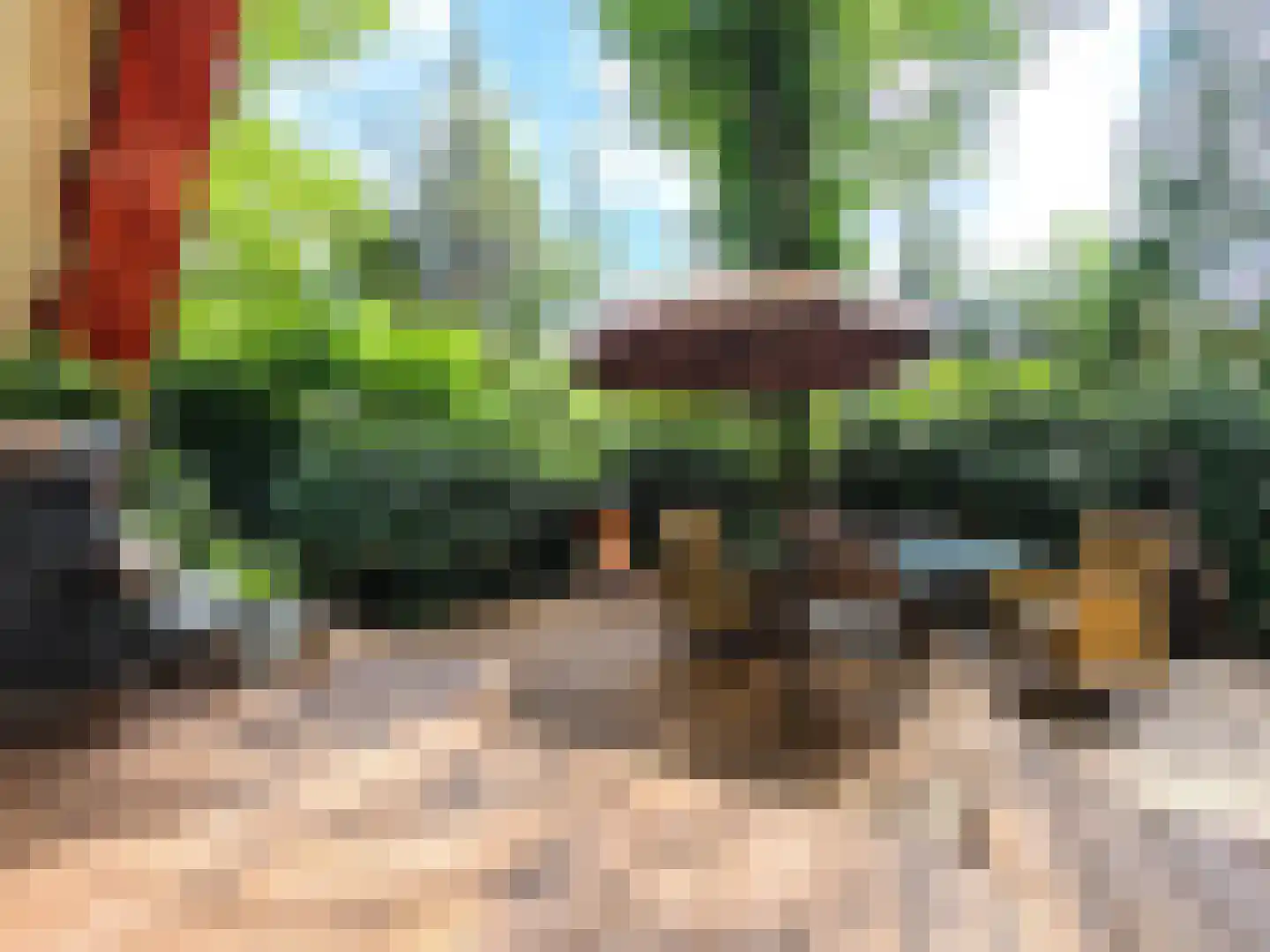 Kamillepad 9 Wanssum thumbnail 10