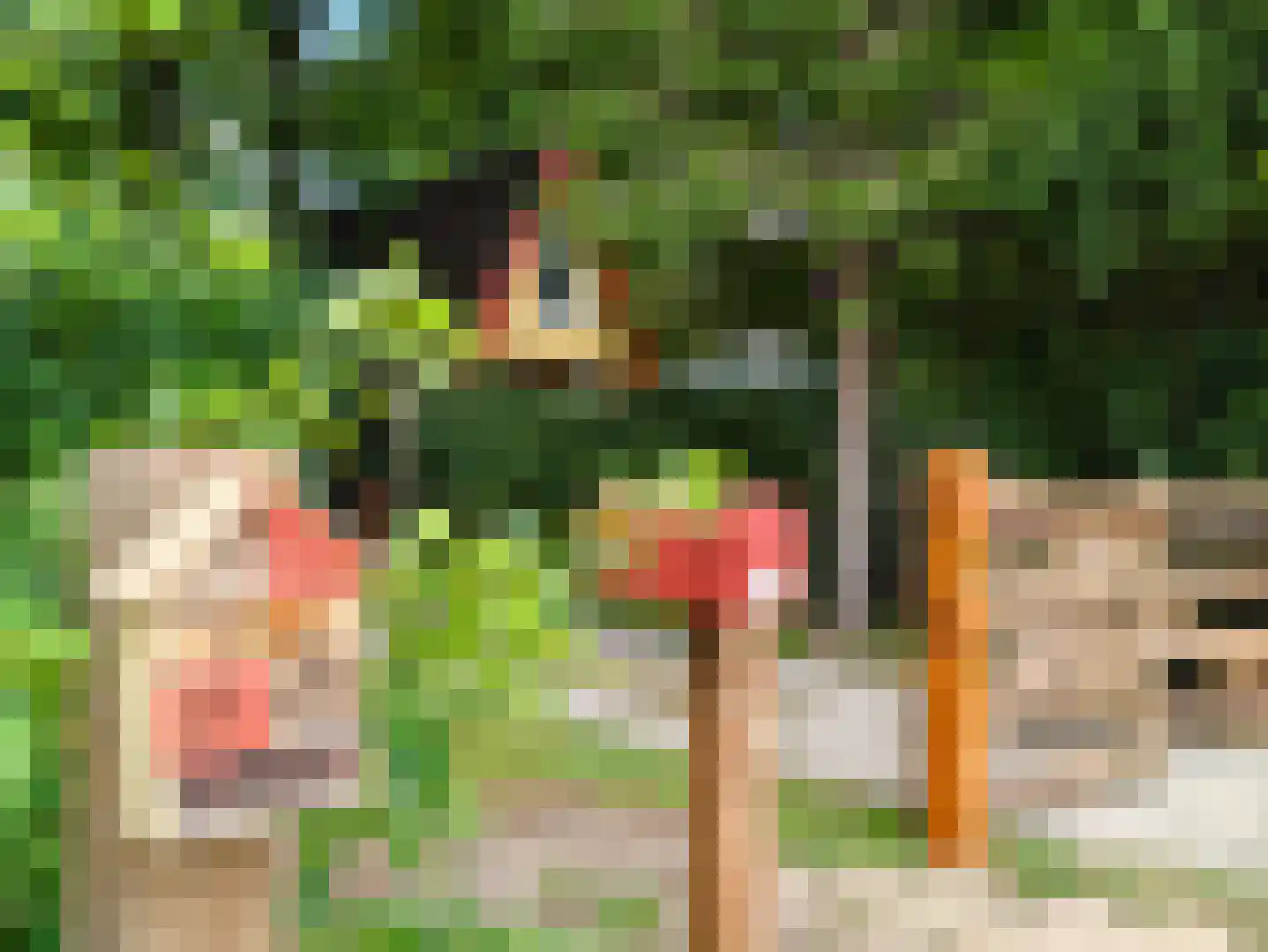 Kamillepad 9 Wanssum thumbnail 14